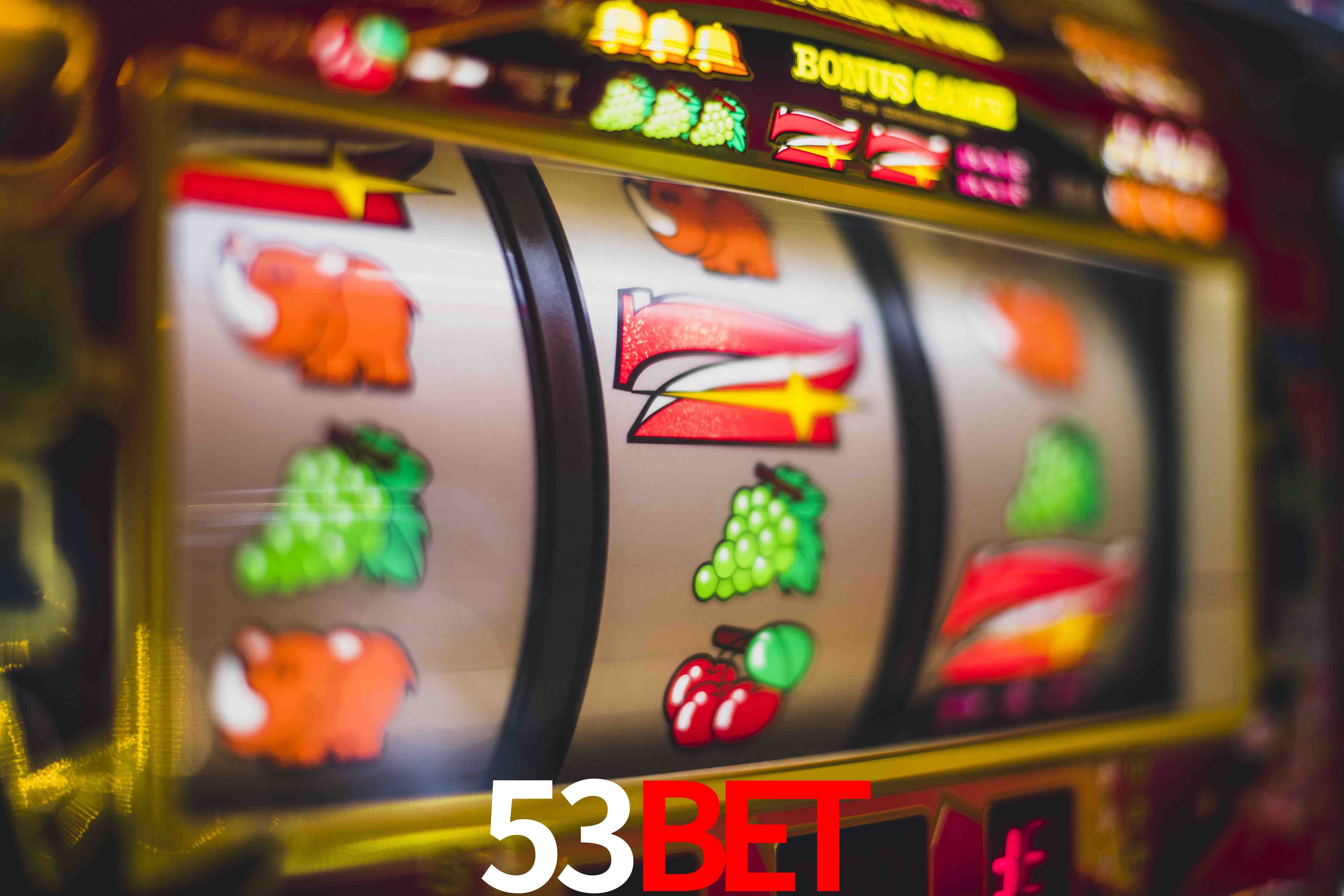 Football Betting 53bet